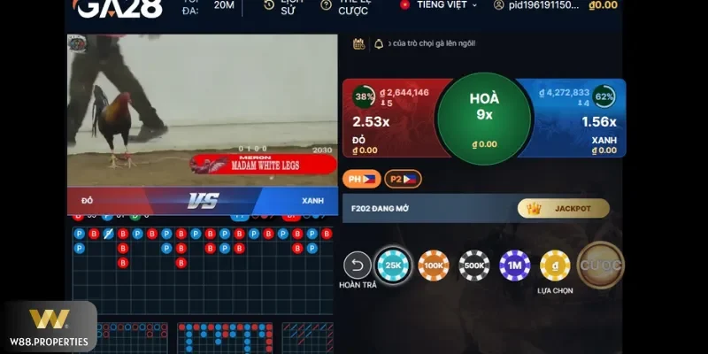 Các quy luật cho đá gà cần biết