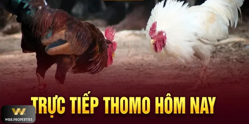 Các trận đấu đỉnh cao cập nhật mới nhất