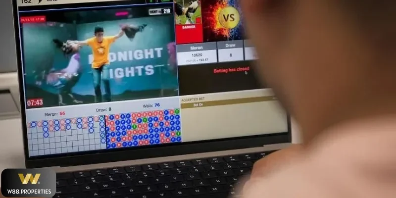 Chọn cửa hòa nên cẩn trọng