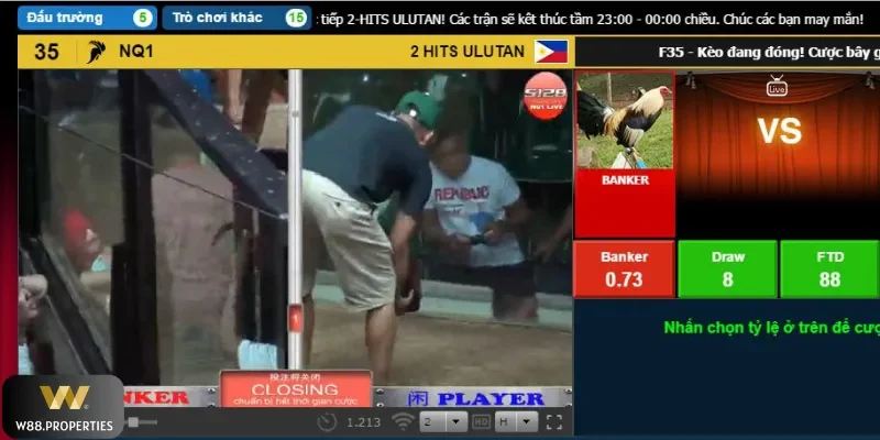 Đá gà phiên bản online mới mẻ