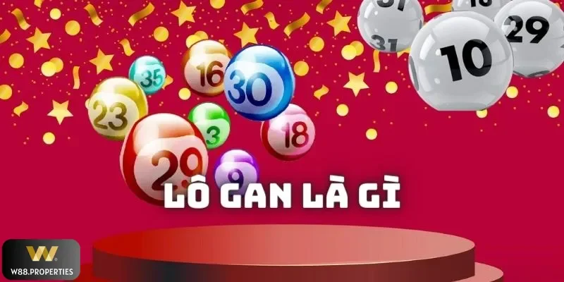 Đôi nét về lô gan