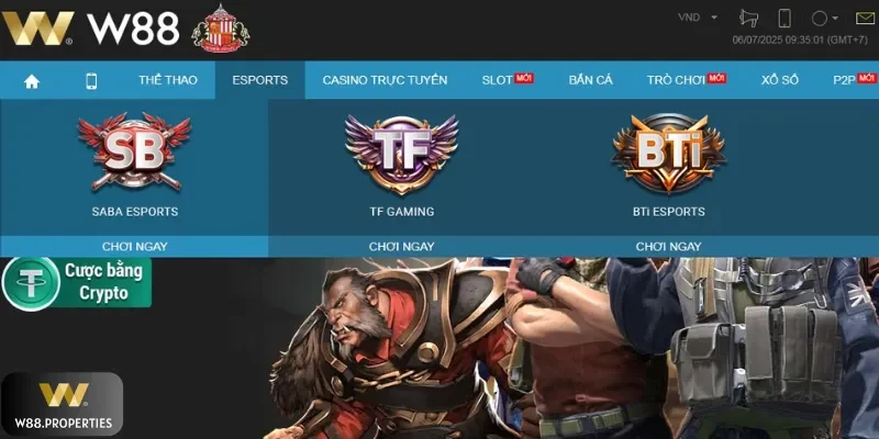 Hệ thống thể thao điện tử