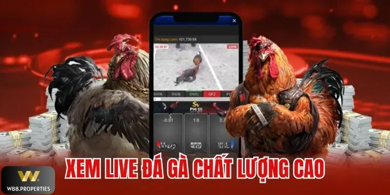 Livestream trận đấu gà tiện lợi