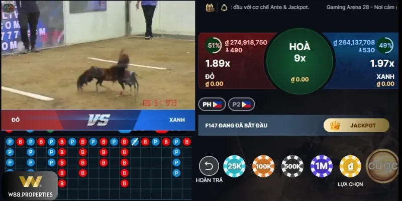 Xem đá gà Thomo hot ở W88